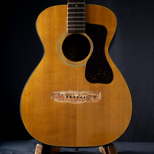 Luthier Special: 1981 Guild F20NT