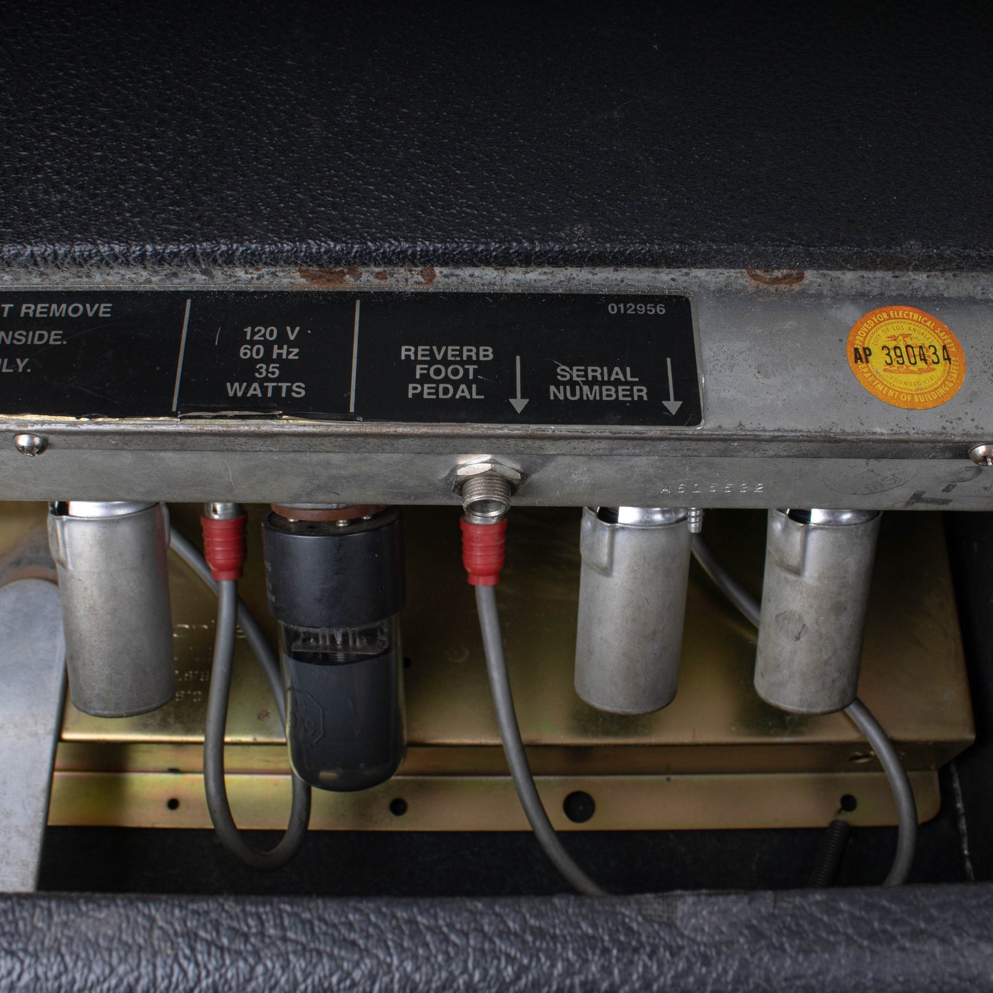 1973 Fender Tube Reverb