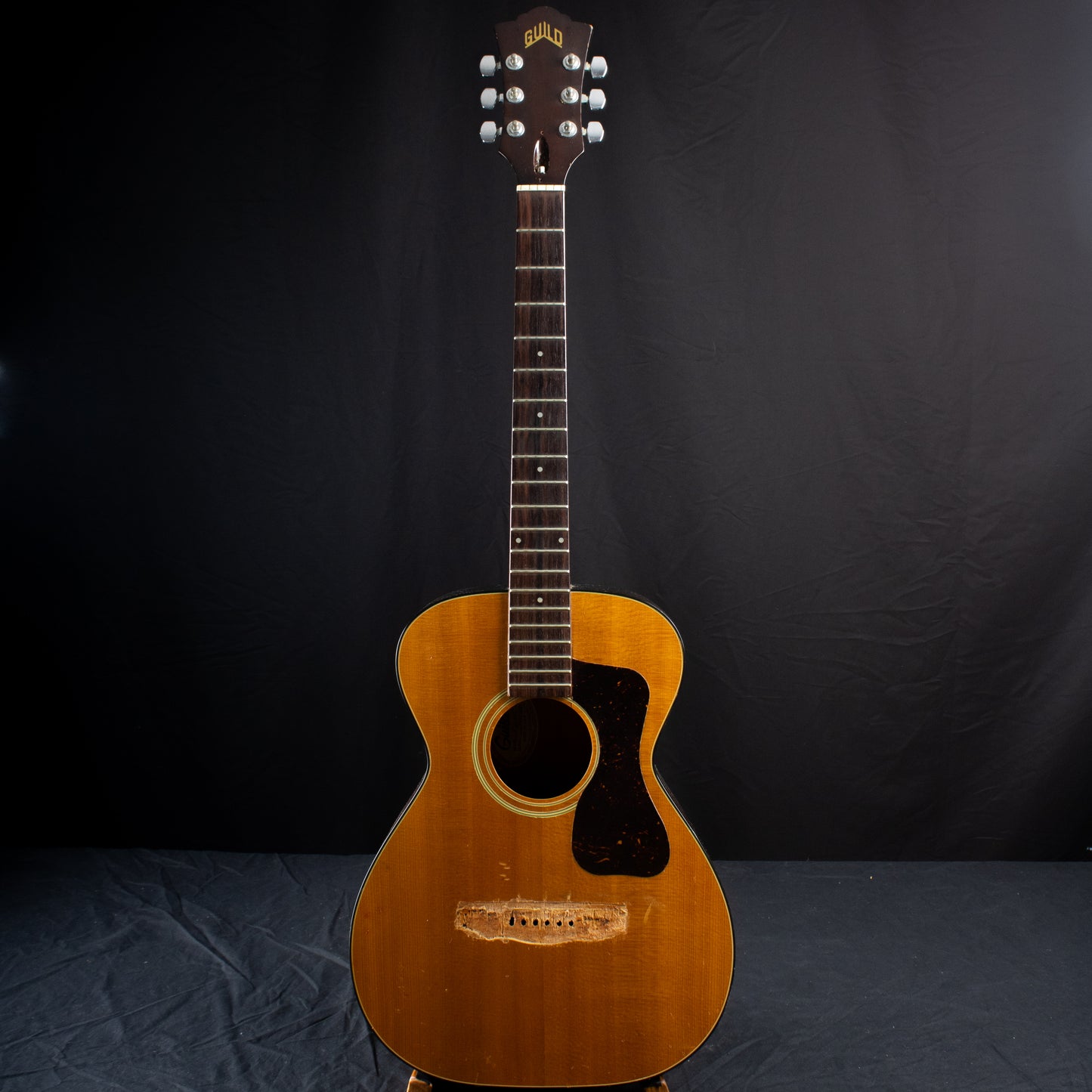 Luthier Special: 1981 Guild F20NT