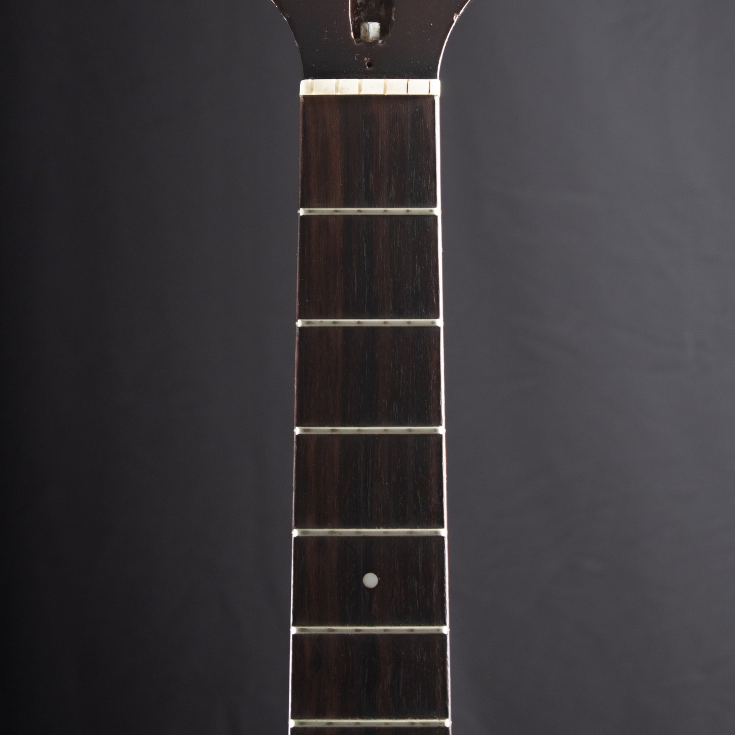 Luthier Special: 1981 Guild F20NT