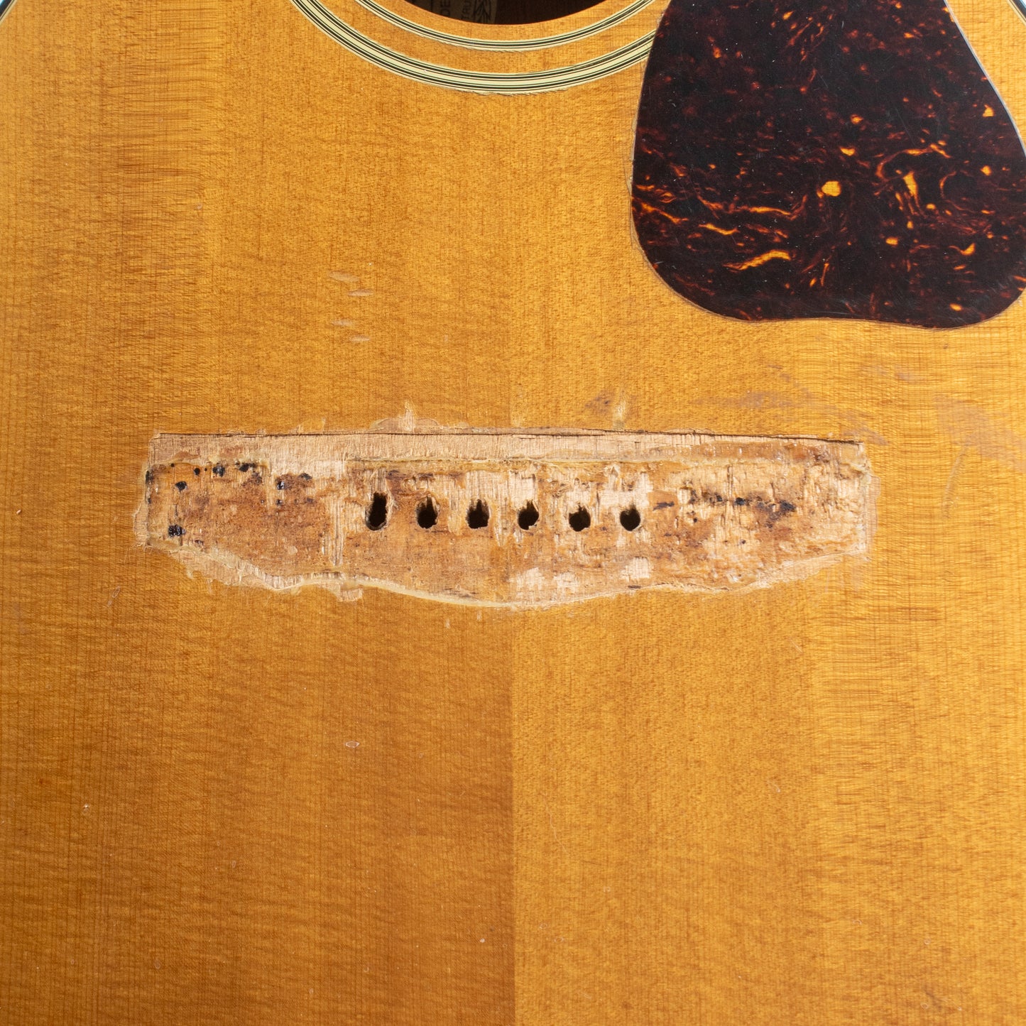 Luthier Special: 1981 Guild F20NT
