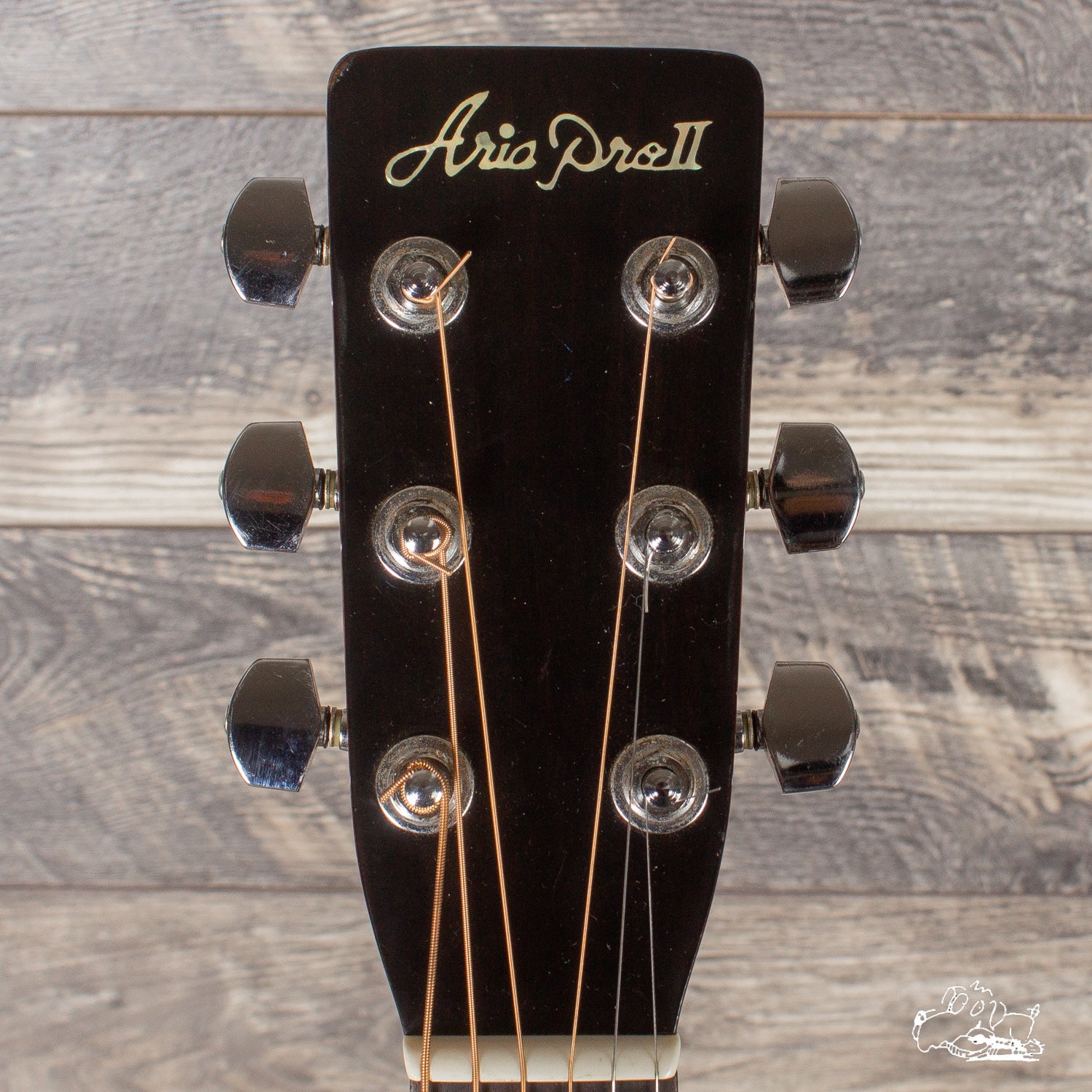 Aria Pro II PW-28 Acoustic Guitar