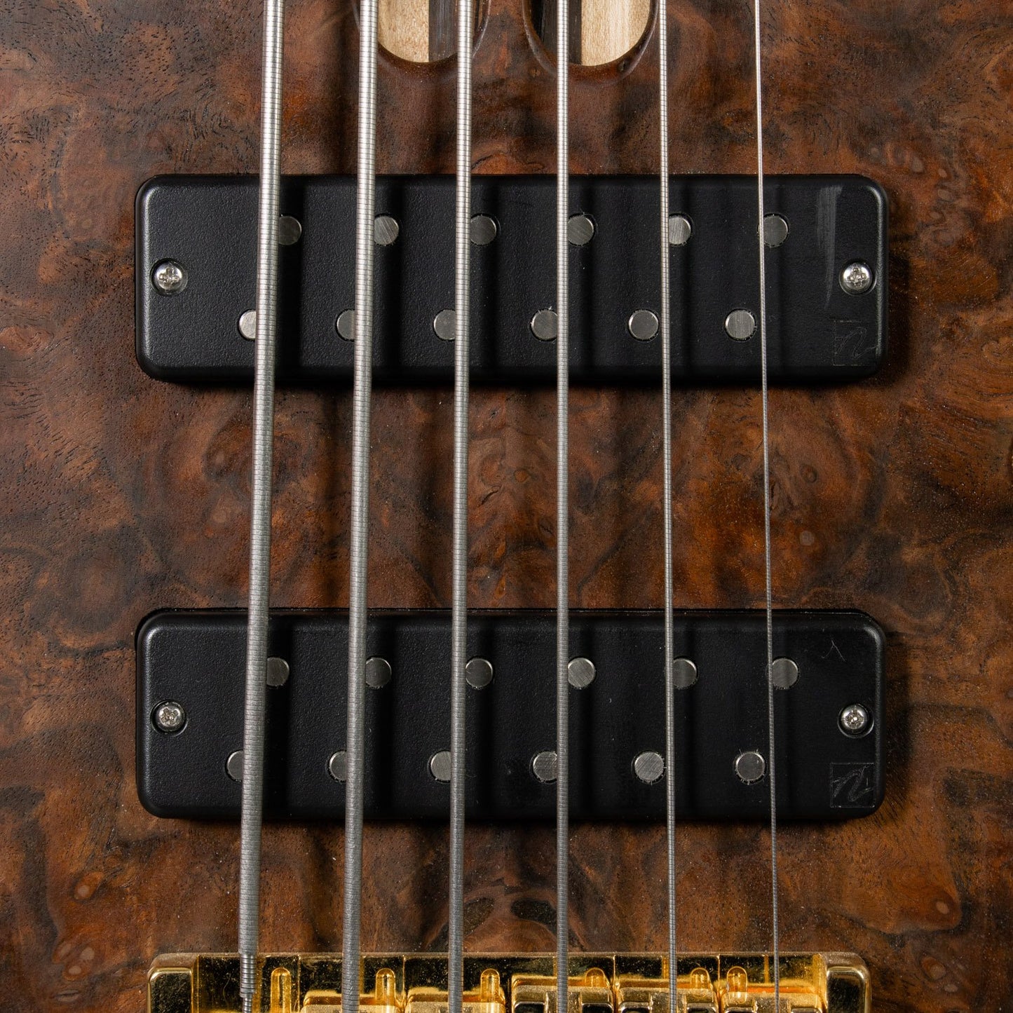 2022 Cliff Bordwell SCB Bass 6 String - Black Walnut Burl