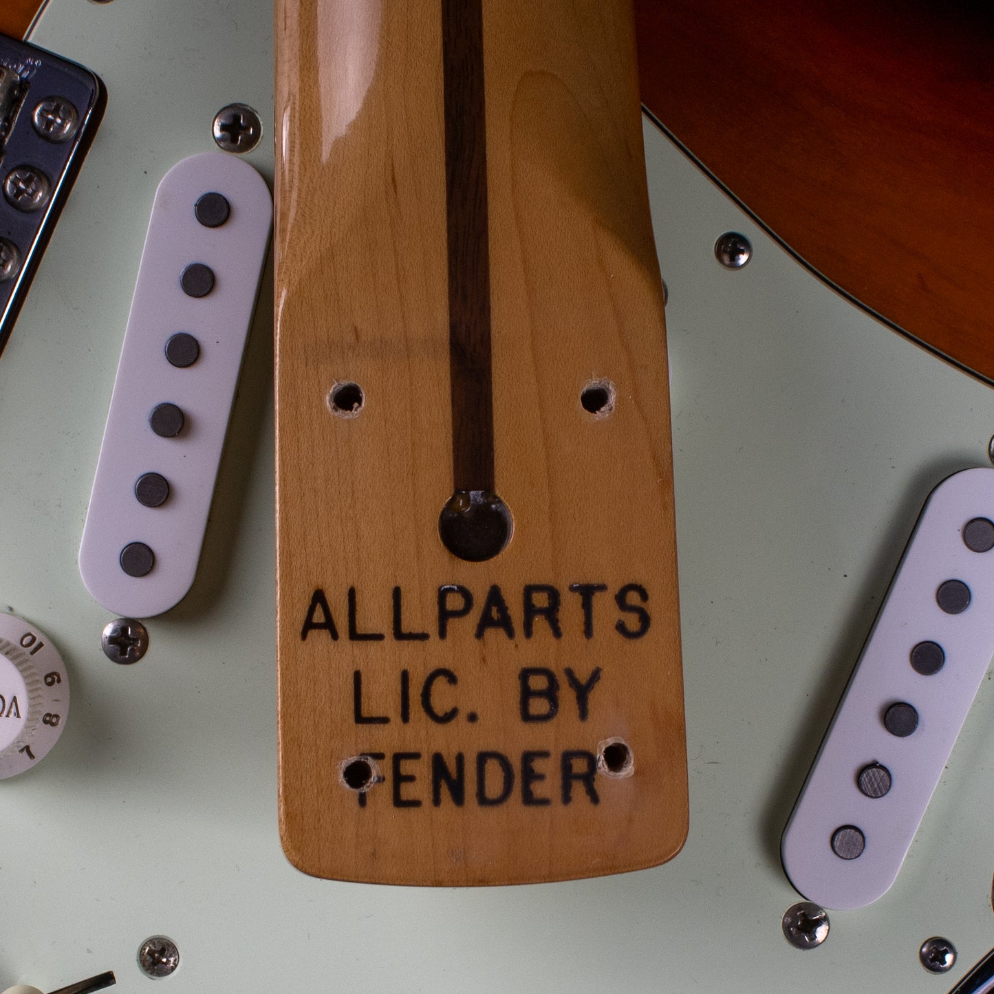 Hendrix-Inspired S-Style Partscaster