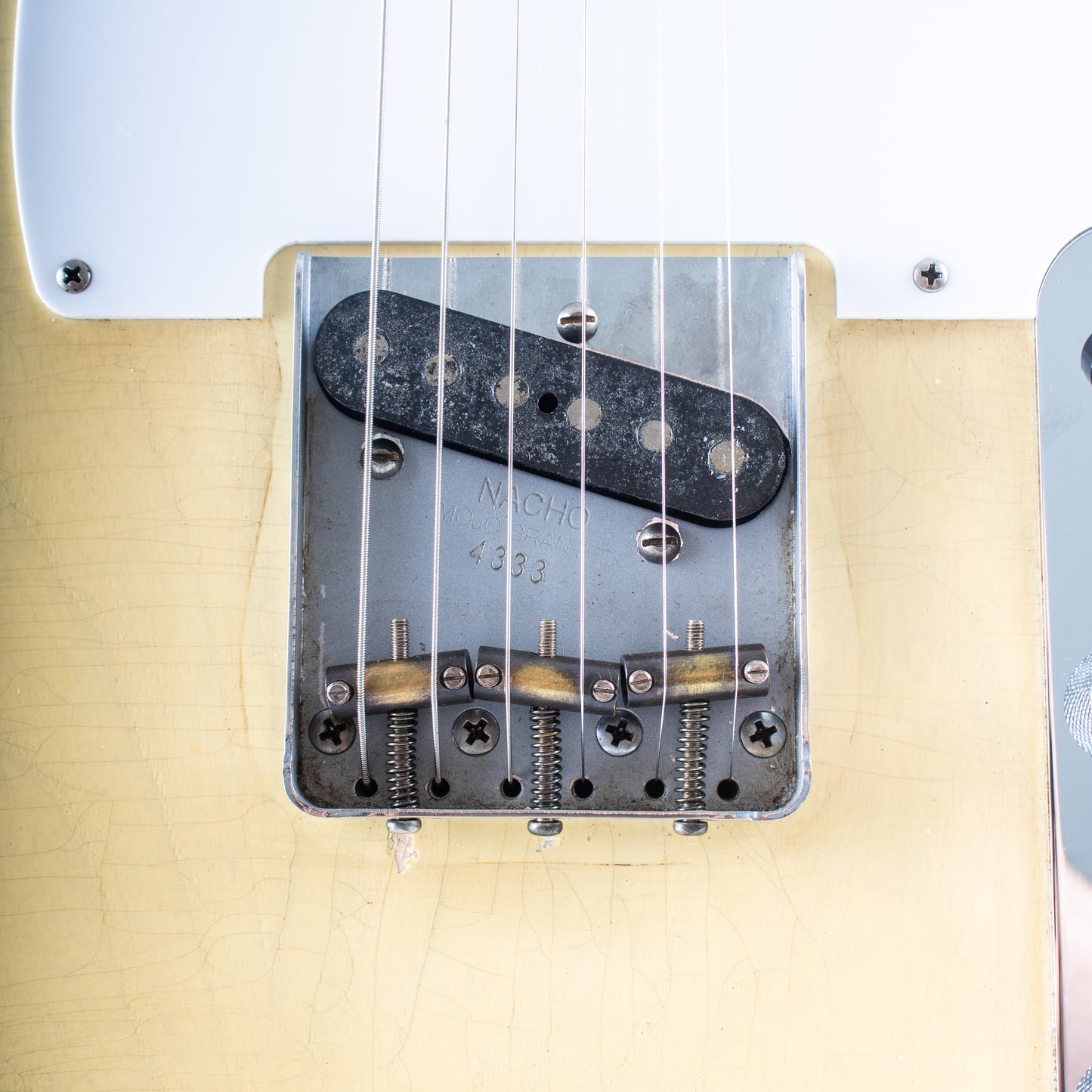 2025 Nacho Guitars Nachocaster (4333)