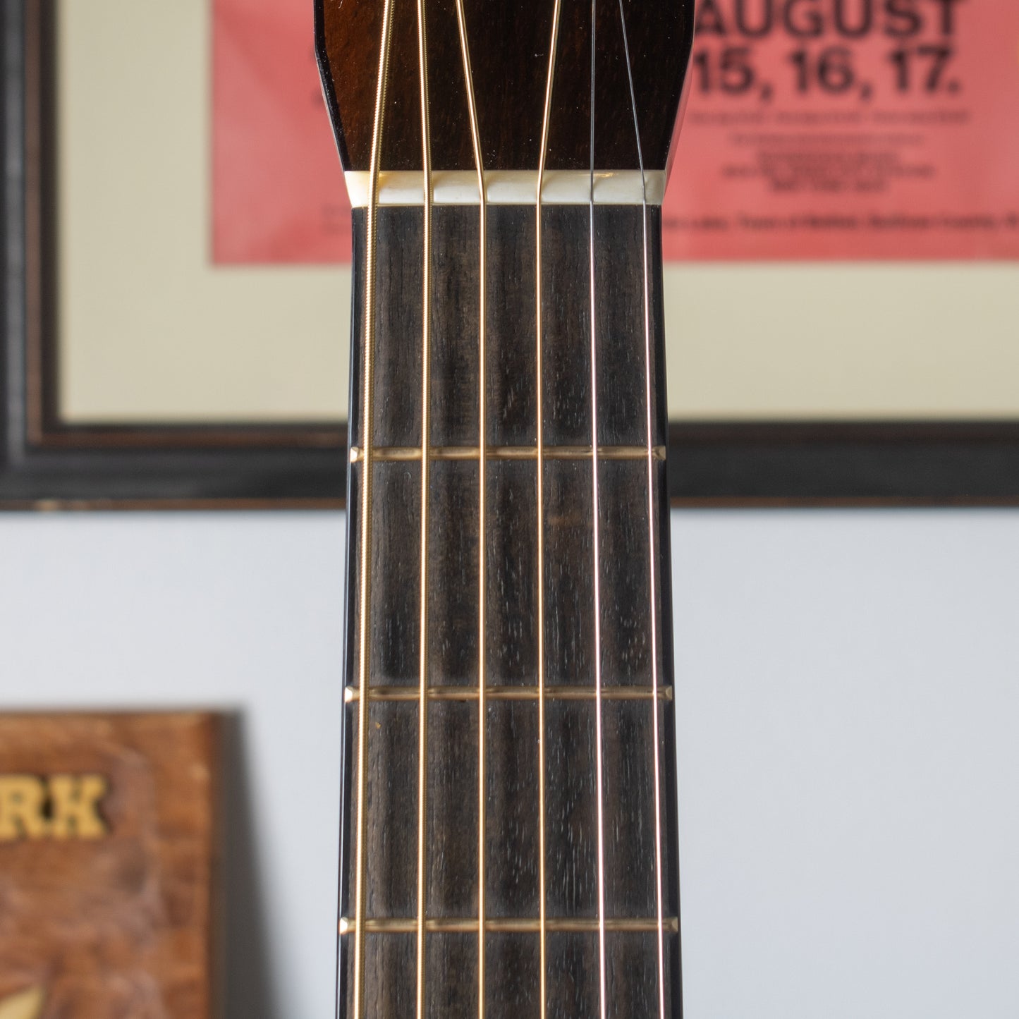 2023 Santa Cruz 1934 D Mahogany – Premium Custom Build