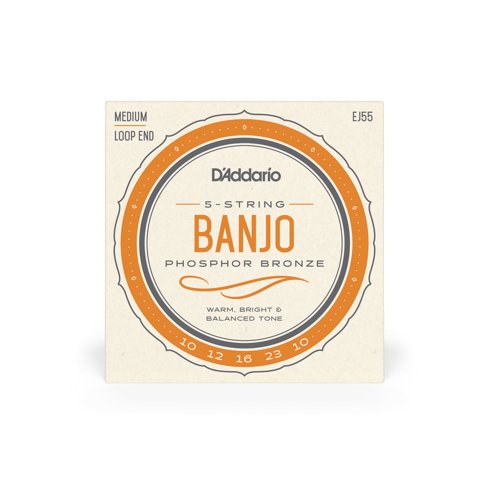 D'Addario Medium Loop End Phosphor Bronze 5 String Banjo Strings EJ55
