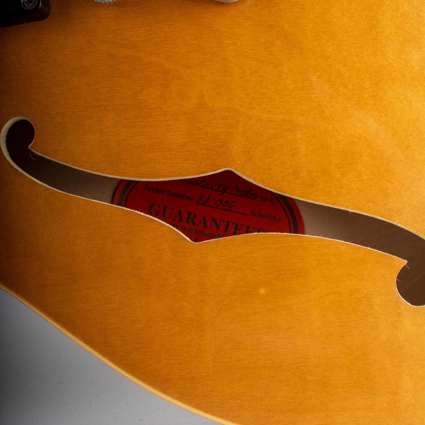 2013 Gibson Rusty Anderson ES-335 (#008)