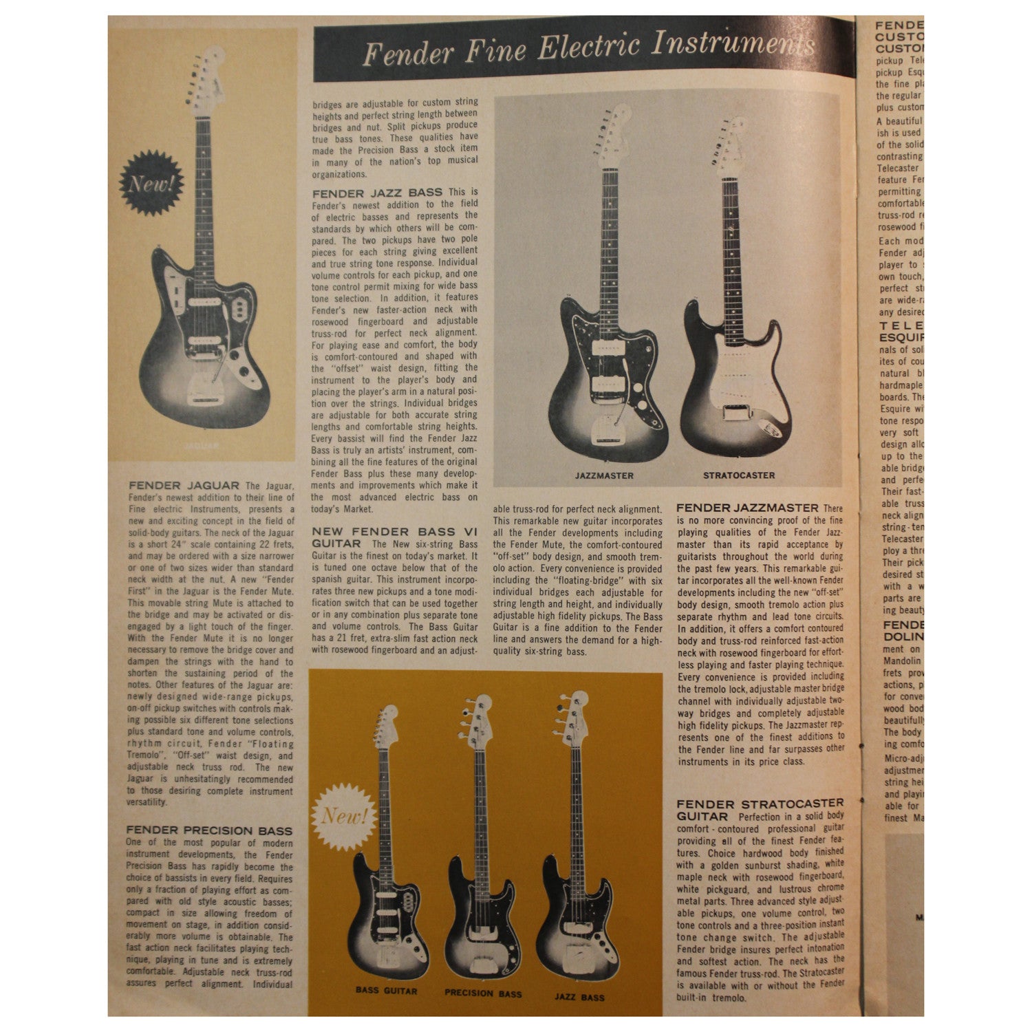 Fender Catalog Collection (1955-1966) - Garrett Park Guitars
 - 66