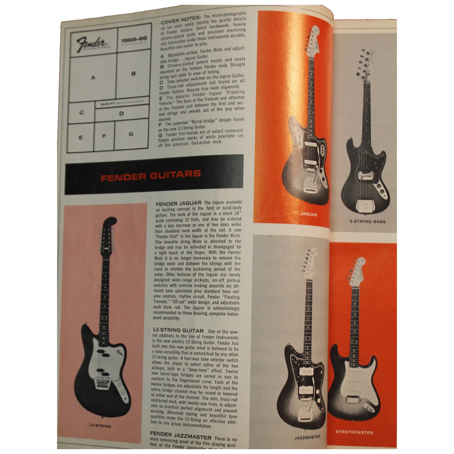 Fender Catalog Collection (1955-1966) - Garrett Park Guitars
 - 82