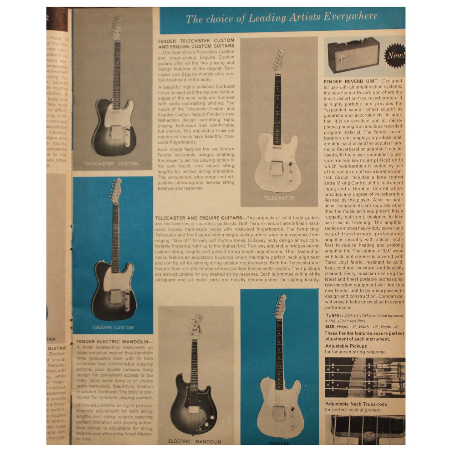 Fender Catalog Collection (1955-1966) - Garrett Park Guitars
 - 51