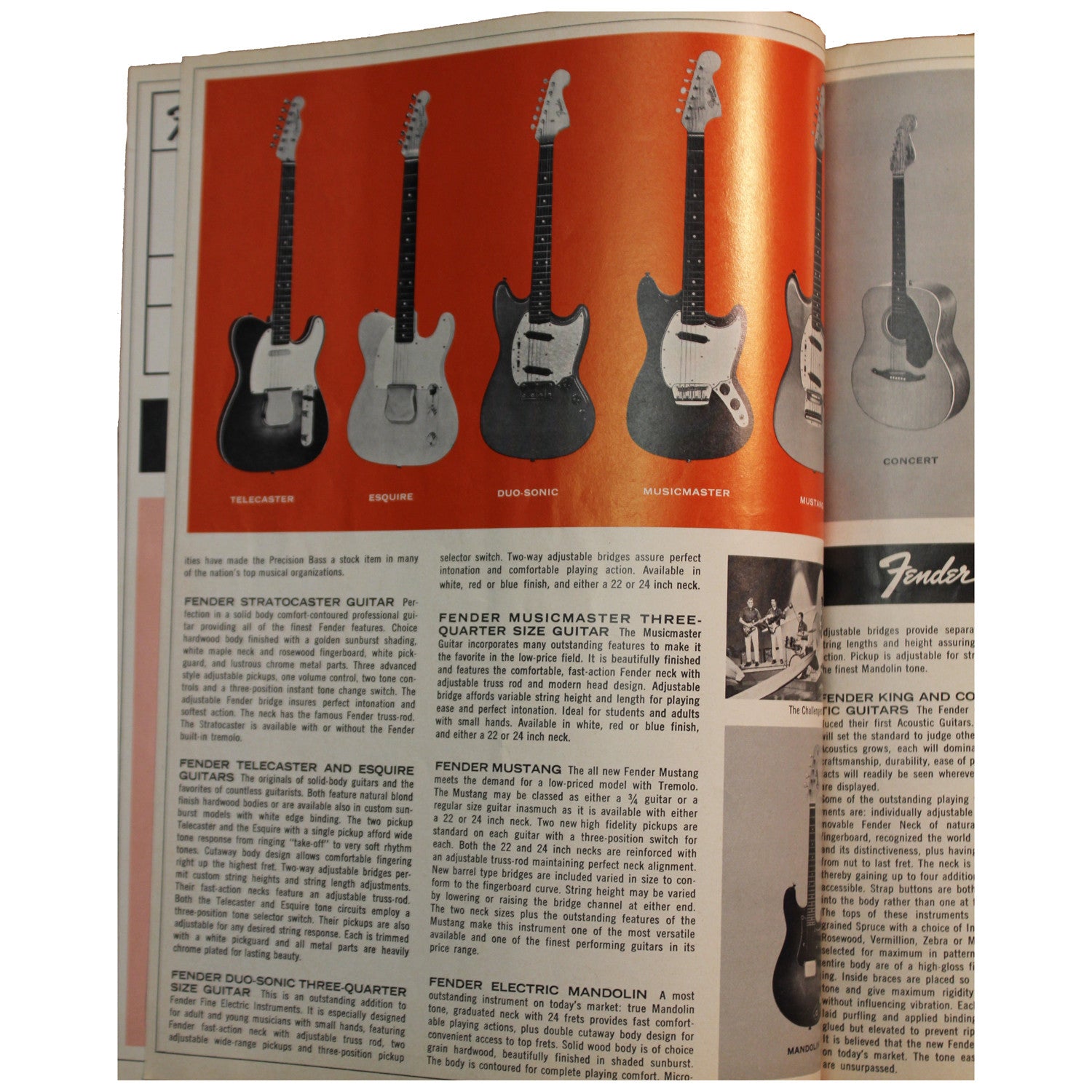Fender Catalog Collection (1955-1966) - Garrett Park Guitars
 - 84