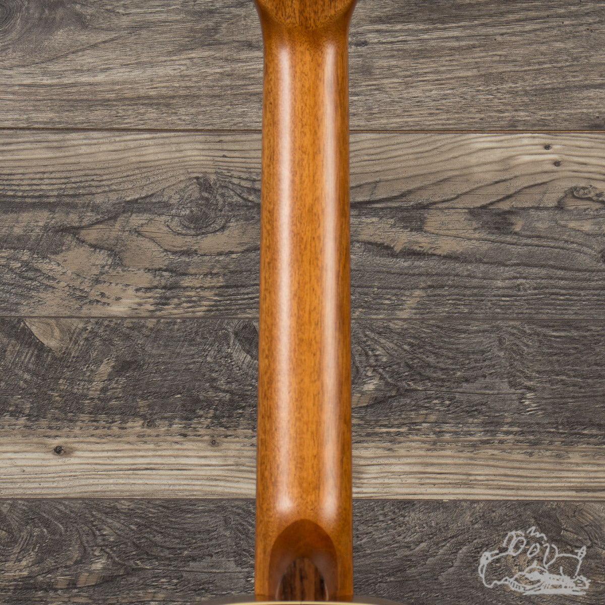 La Patrie Motif QIT Nylon Guitar w/ Bag Garrett Park Guitars