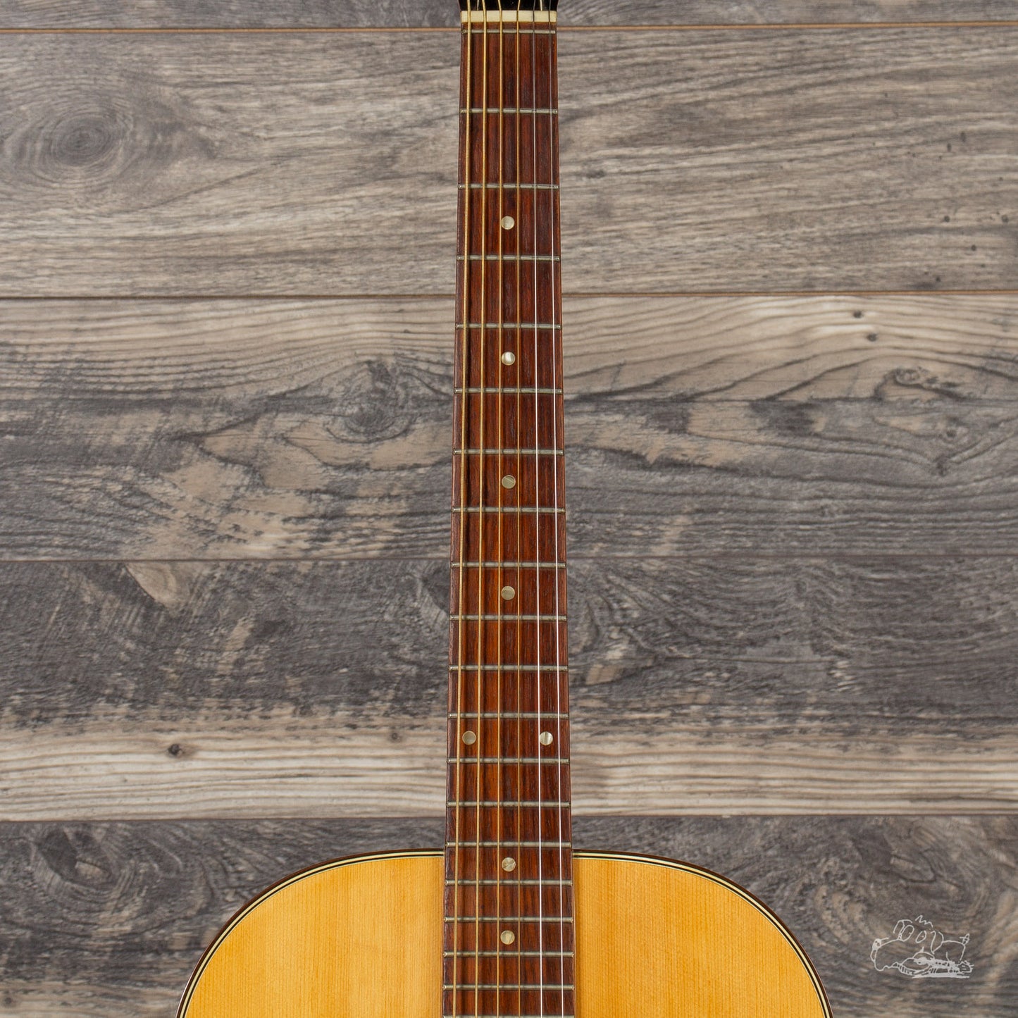 1970's Cortez 860 Acoustic Guitar