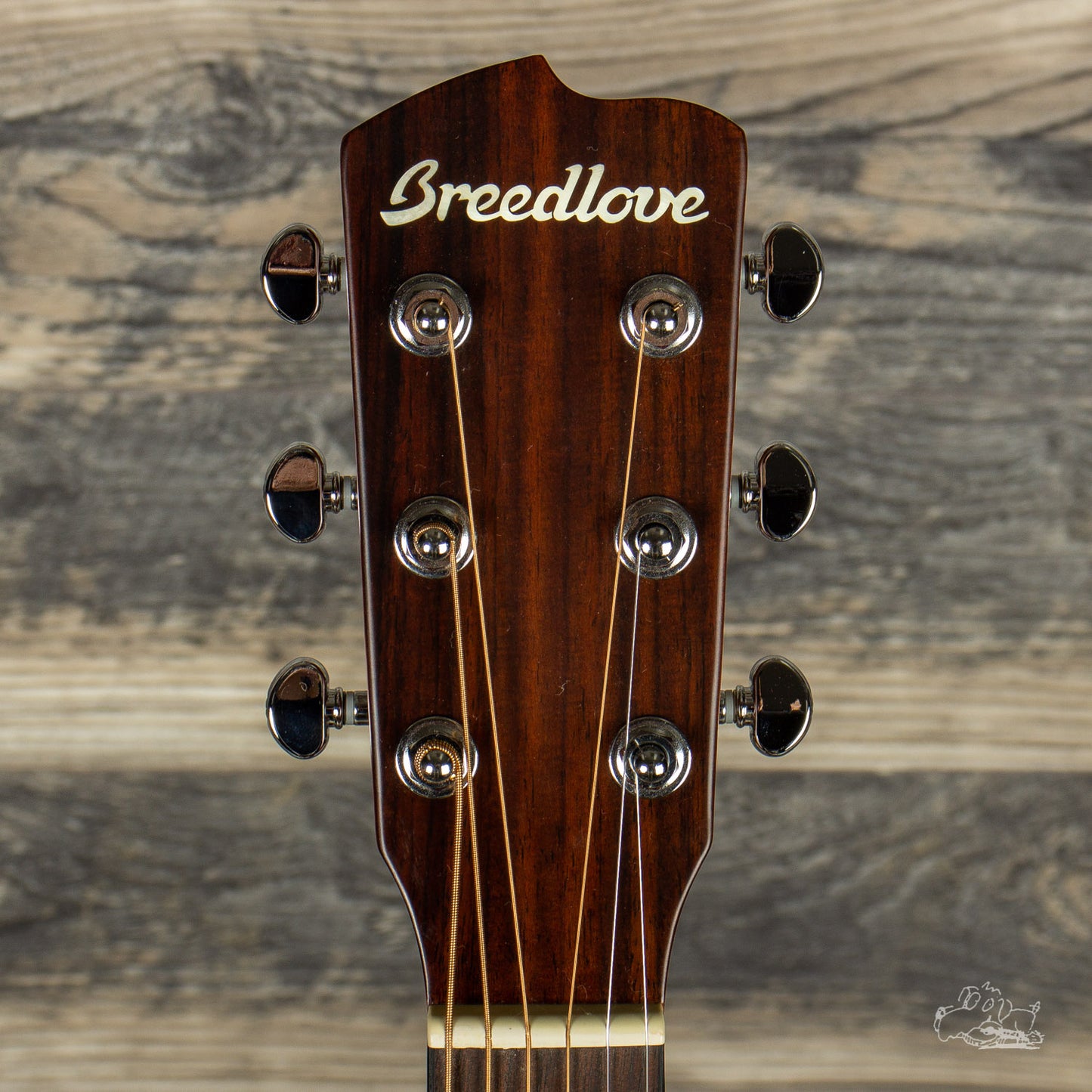 Breedlove Passport Parlor (3/4 size - Great Travel Guitar!) with Gig Bag