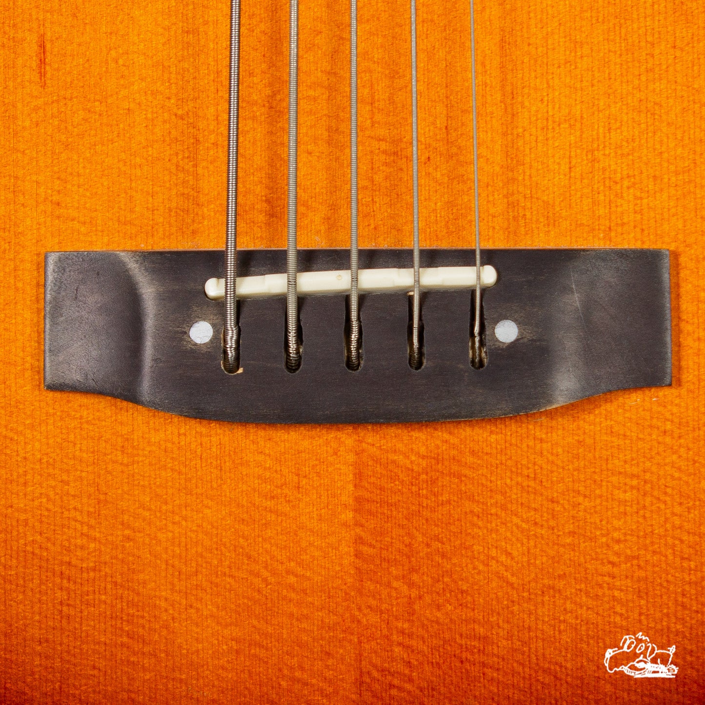 1999 Epiphone El-Capitan 5-String Acoustic Bass
