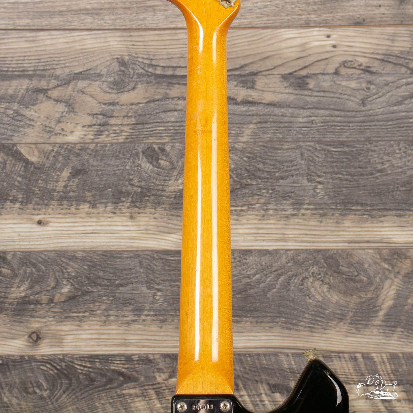 1969 Fender Swinger
