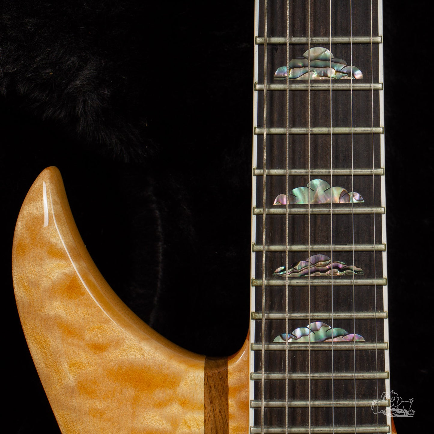 2009 BC Rich Bich 10 Supreme - 10-String Guitar