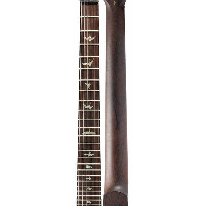 2003 PRS Carlos Santana Brazilian Prototype #6 - Garrett Park Guitars
 - 5
