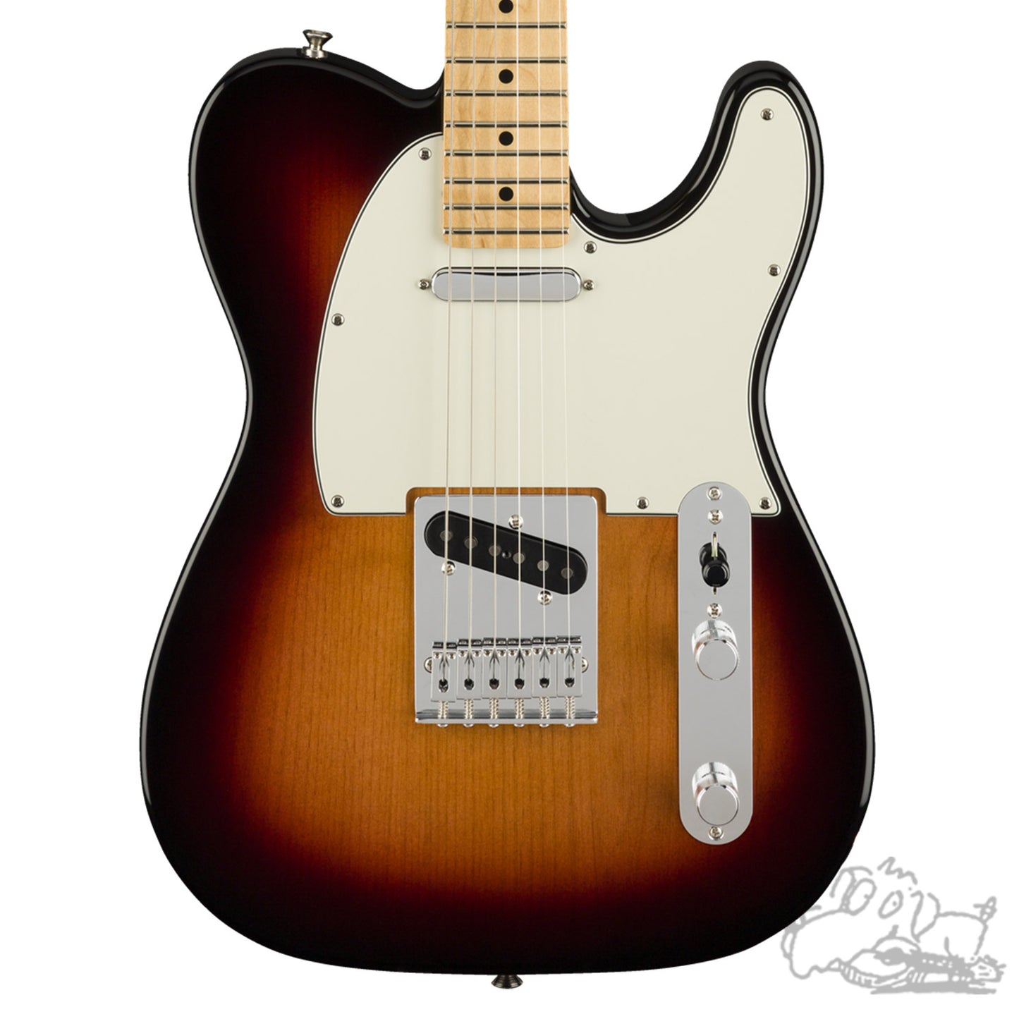 Player Telecaster by Fender - Assorted Colors