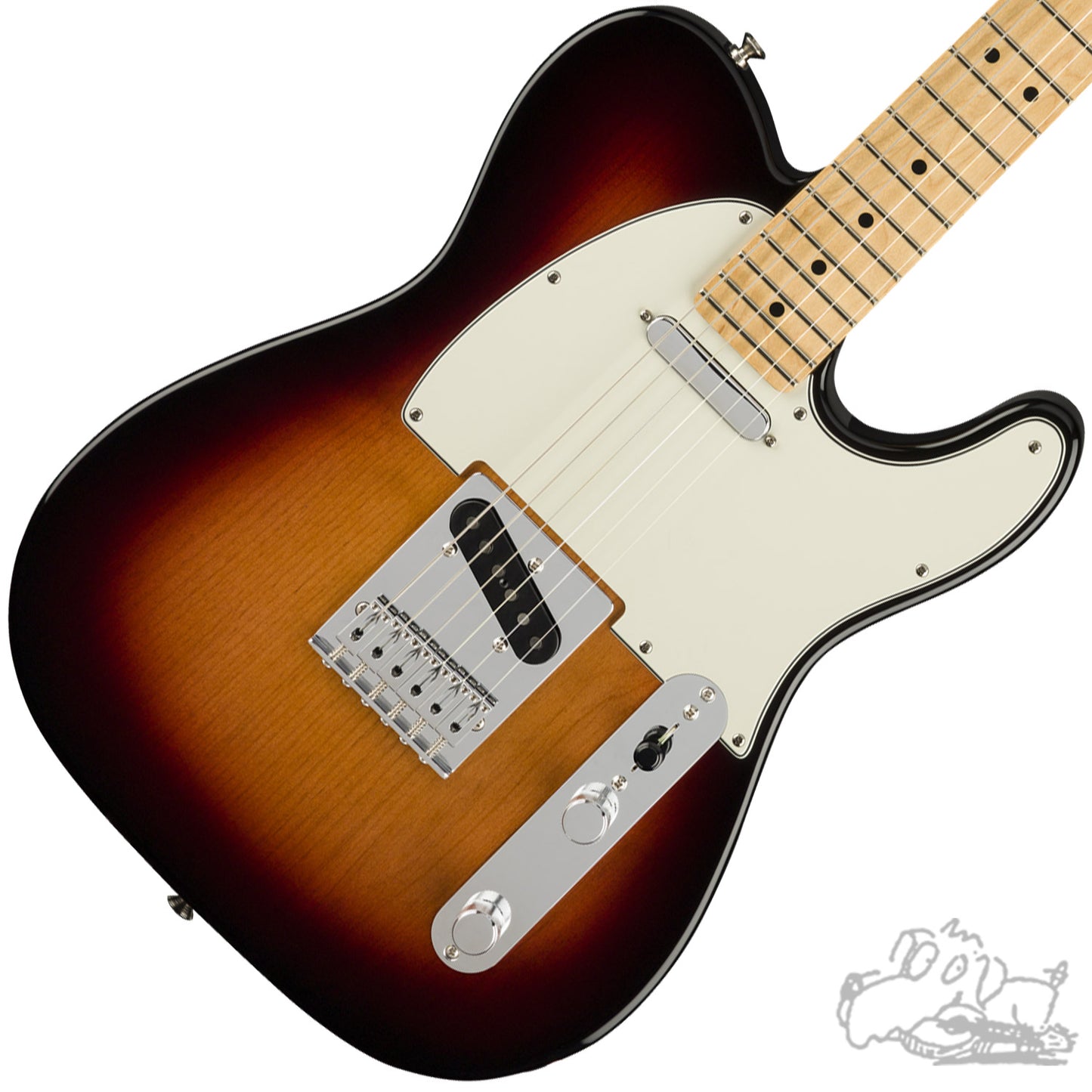 Player Telecaster by Fender - Assorted Colors